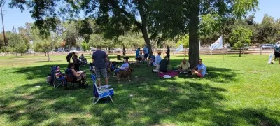 4th of July Picnic 2022, photo 36 of 44